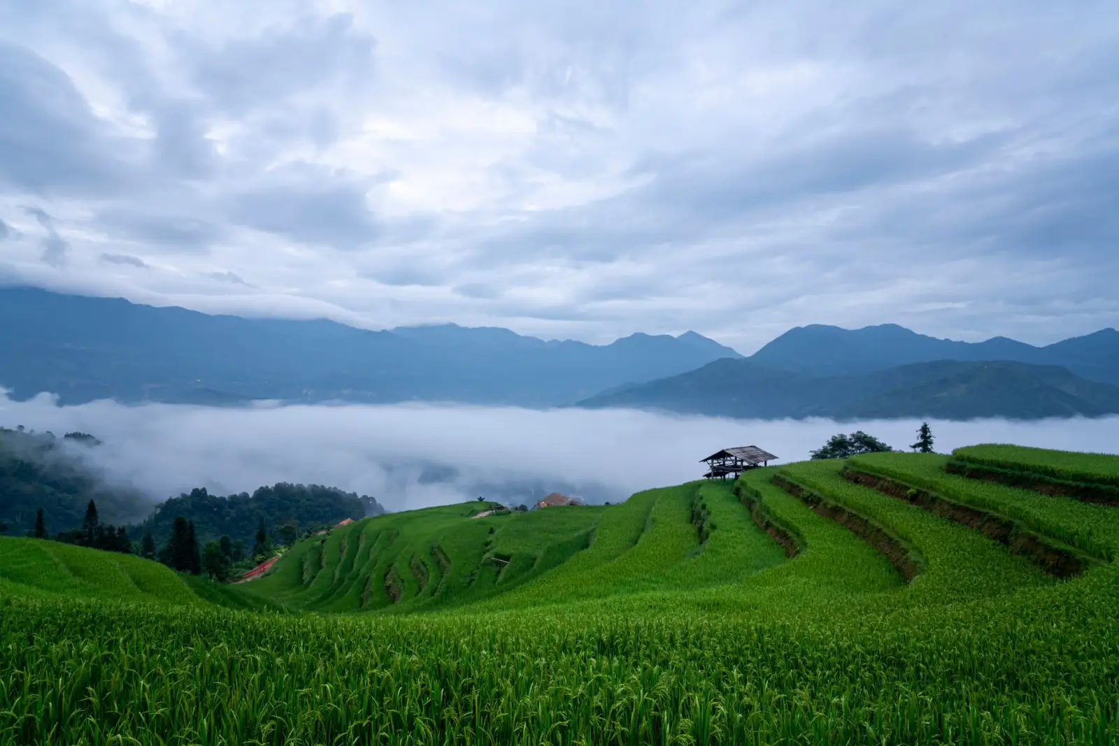 贵州穗赐农业科技种植技术体系在西南山区的应用优势解析正文配图 1