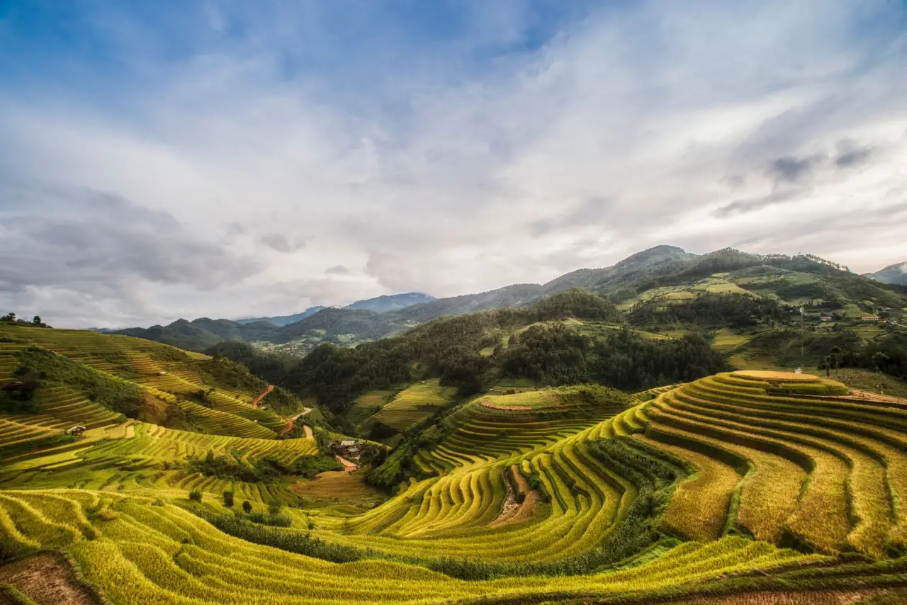 贵州山地特色种植技术要点与农产品品质提升路径分析正文配图 1