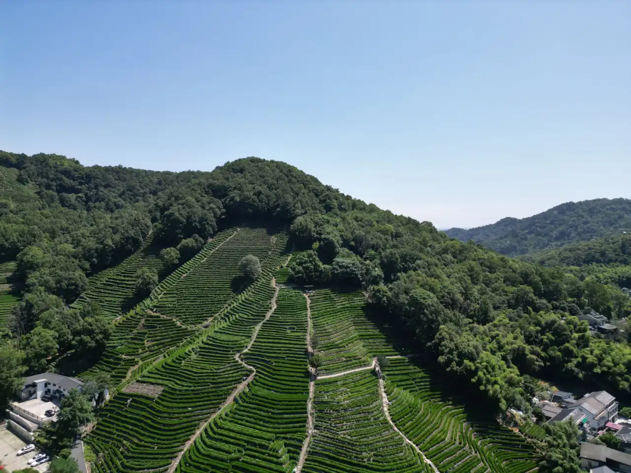 贵州特色农产品种植技术要点与品质提升路径分析正文配图 1