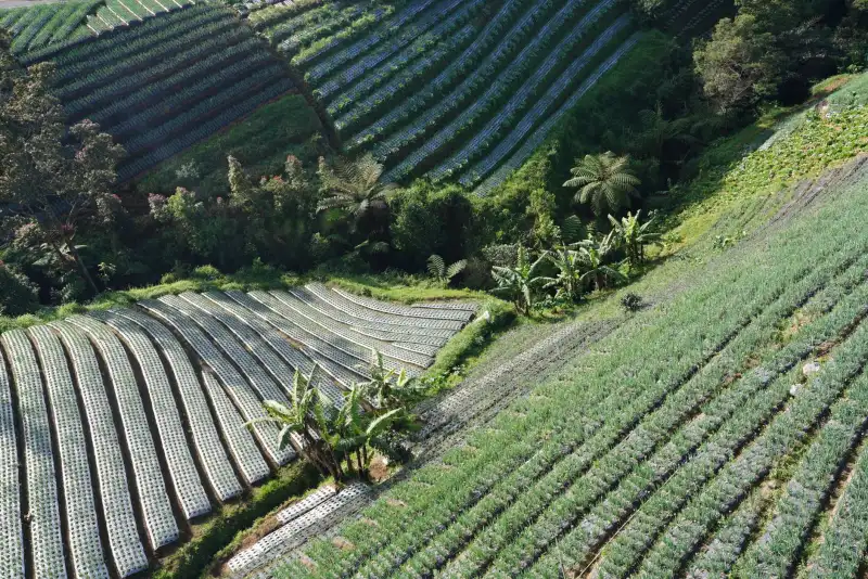贵州穗赐农业科技种植技术体系在喀斯特地貌中的应用优势正文配图 1