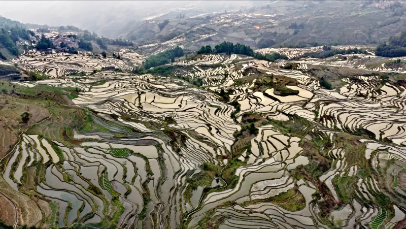 贵州穗赐农业科技种植技术方案在西南地区的应用优势分析正文配图 1