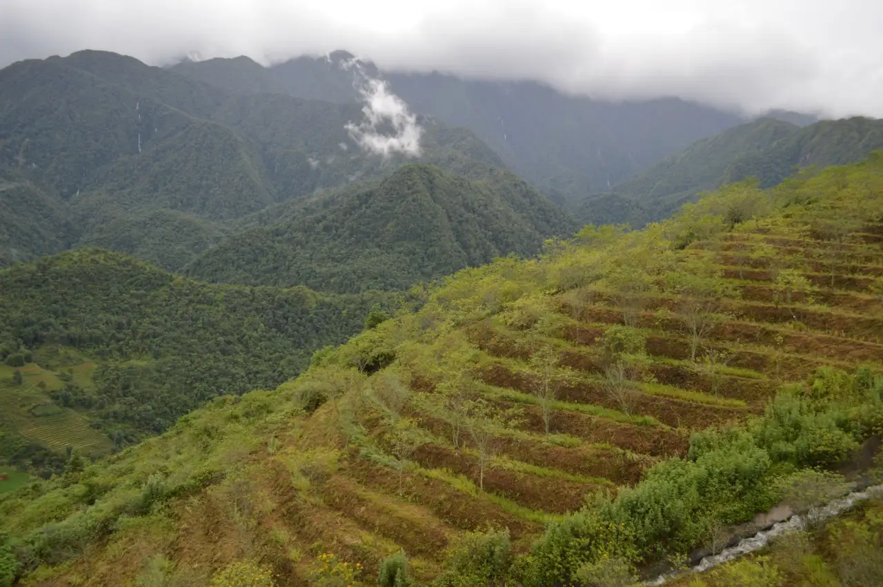 贵州穗赐农业科技种植方案在西南丘陵地区的应用实践正文配图 1