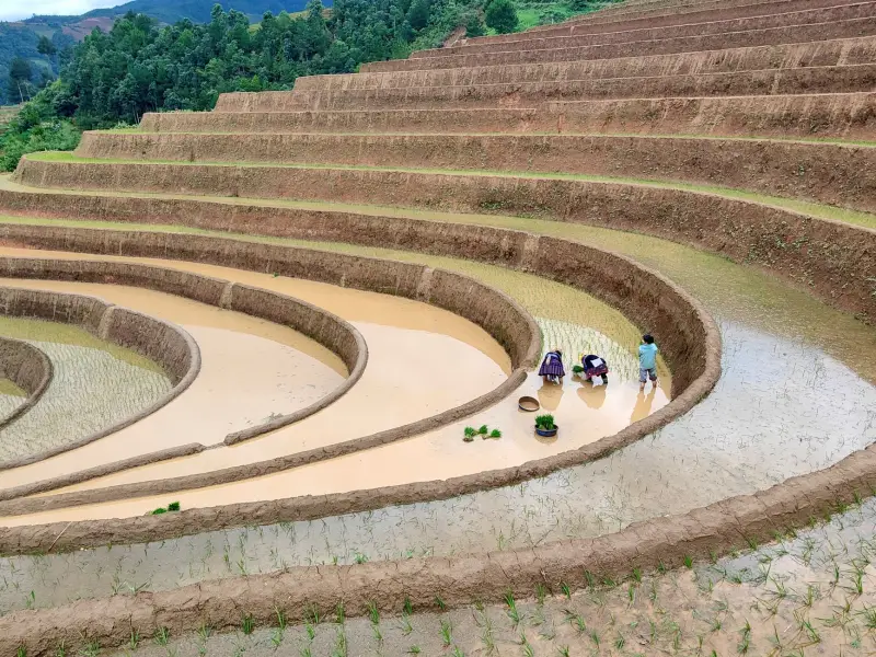 贵州穗赐农业科技：高海拔种植技术方案在西南山区的应用实践正文配图 1
